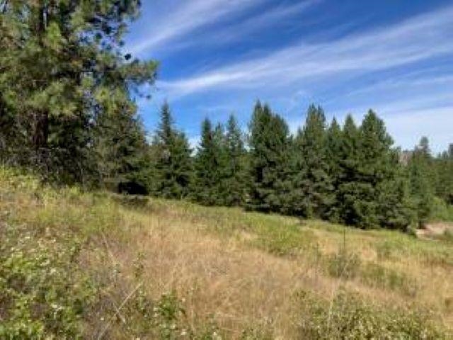 137 Matsen Creek Rd - Photo 13