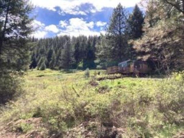 137 Matsen Creek Rd - Photo 3