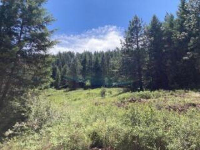 137 Matsen Creek Rd - Photo 4