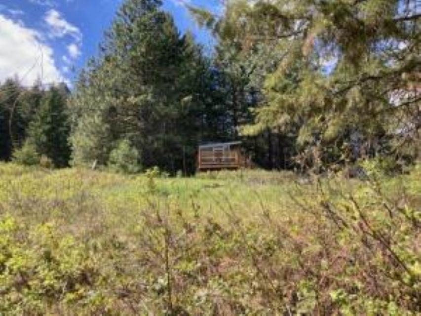 137 Matsen Creek Rd - Photo 33