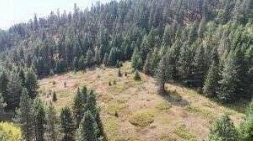 137 Matsen Creek Rd - Photo 8