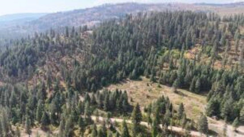 137 Matsen Creek Rd - Photo 9