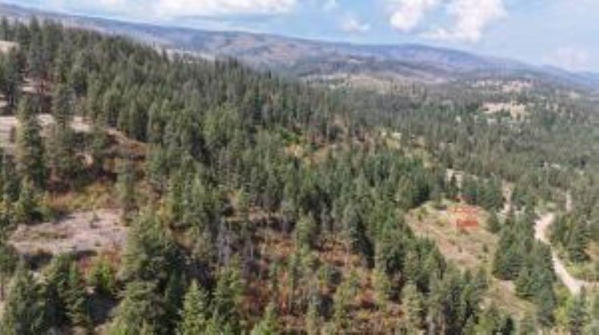 137 Matsen Creek Rd - Photo 10
