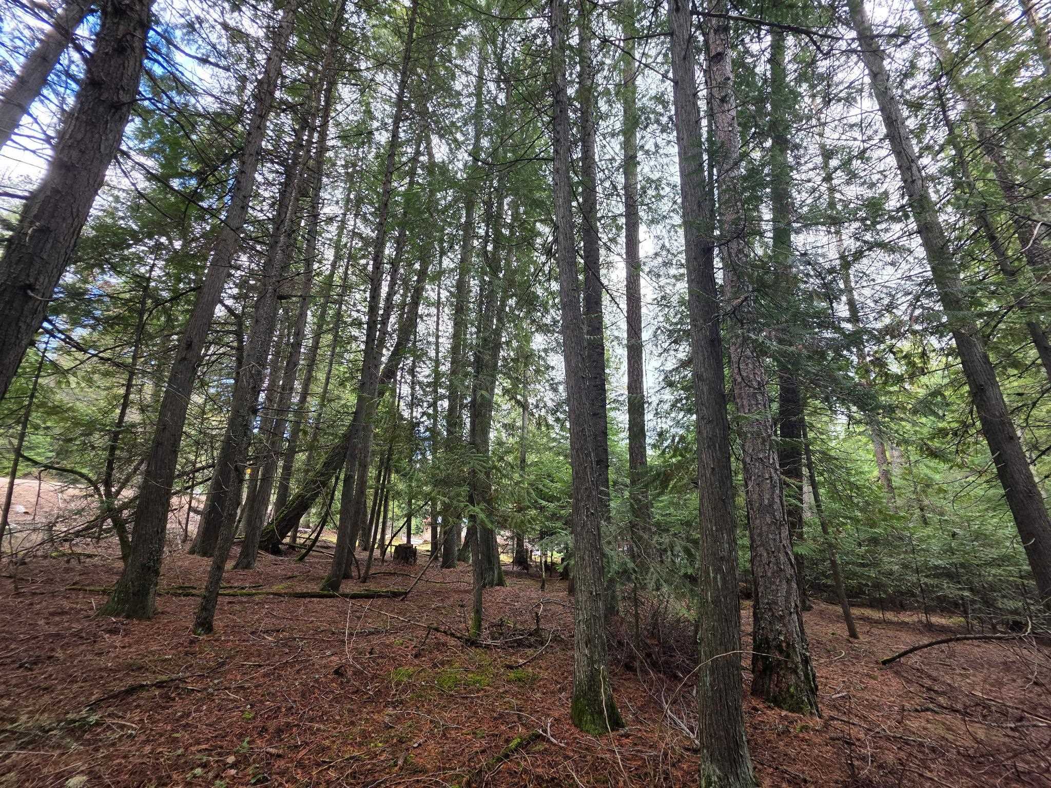 181 Devils Dr - Photo 30