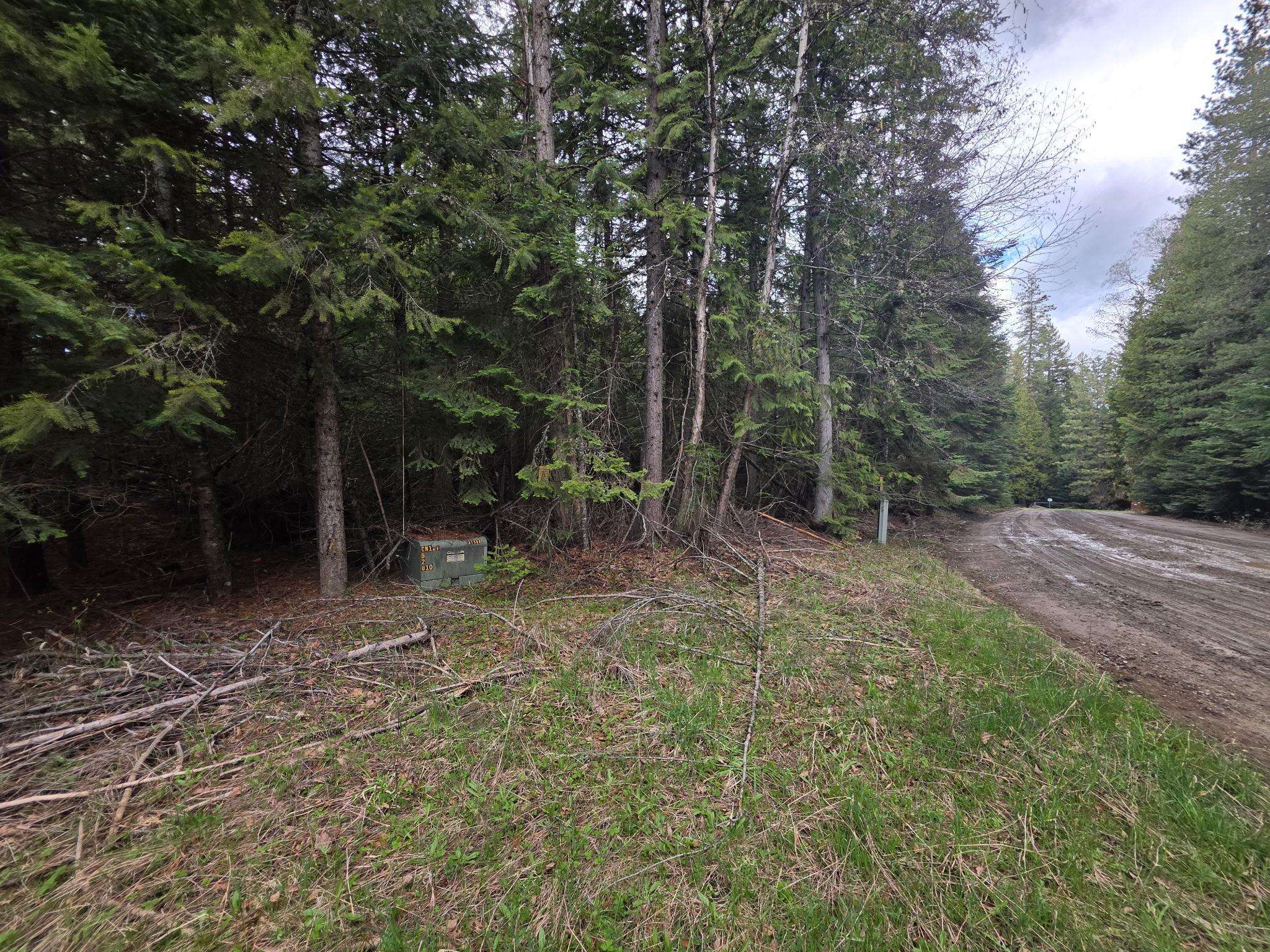 181 Devils Dr - Photo 34