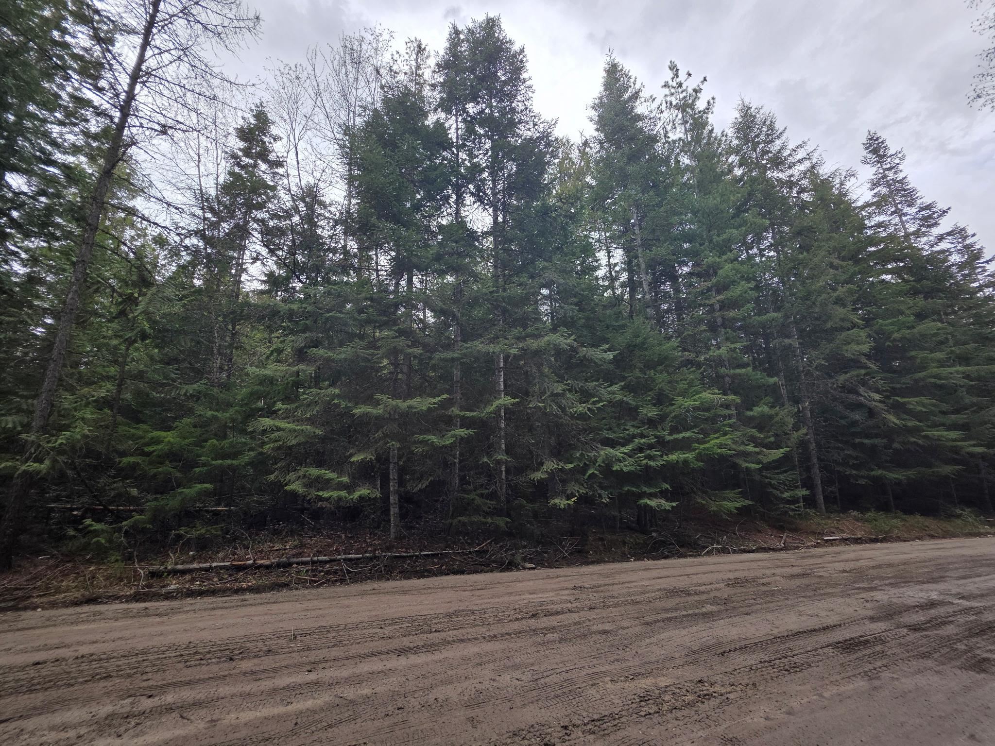 181 Devils Dr - Photo 35