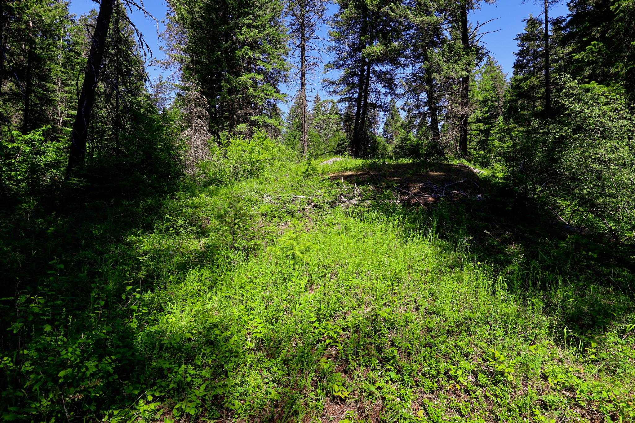 14 ElK Rd - Photo 1