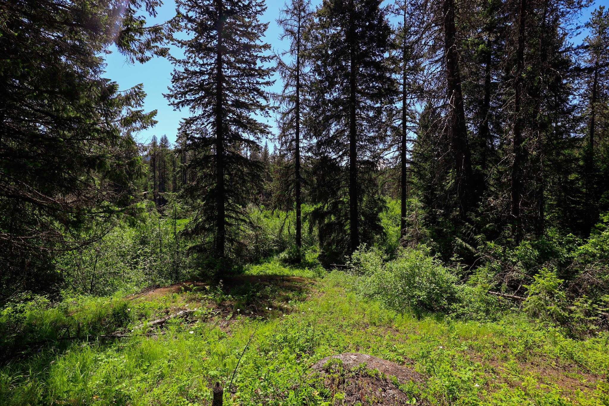 14 ElK Rd - Photo 2