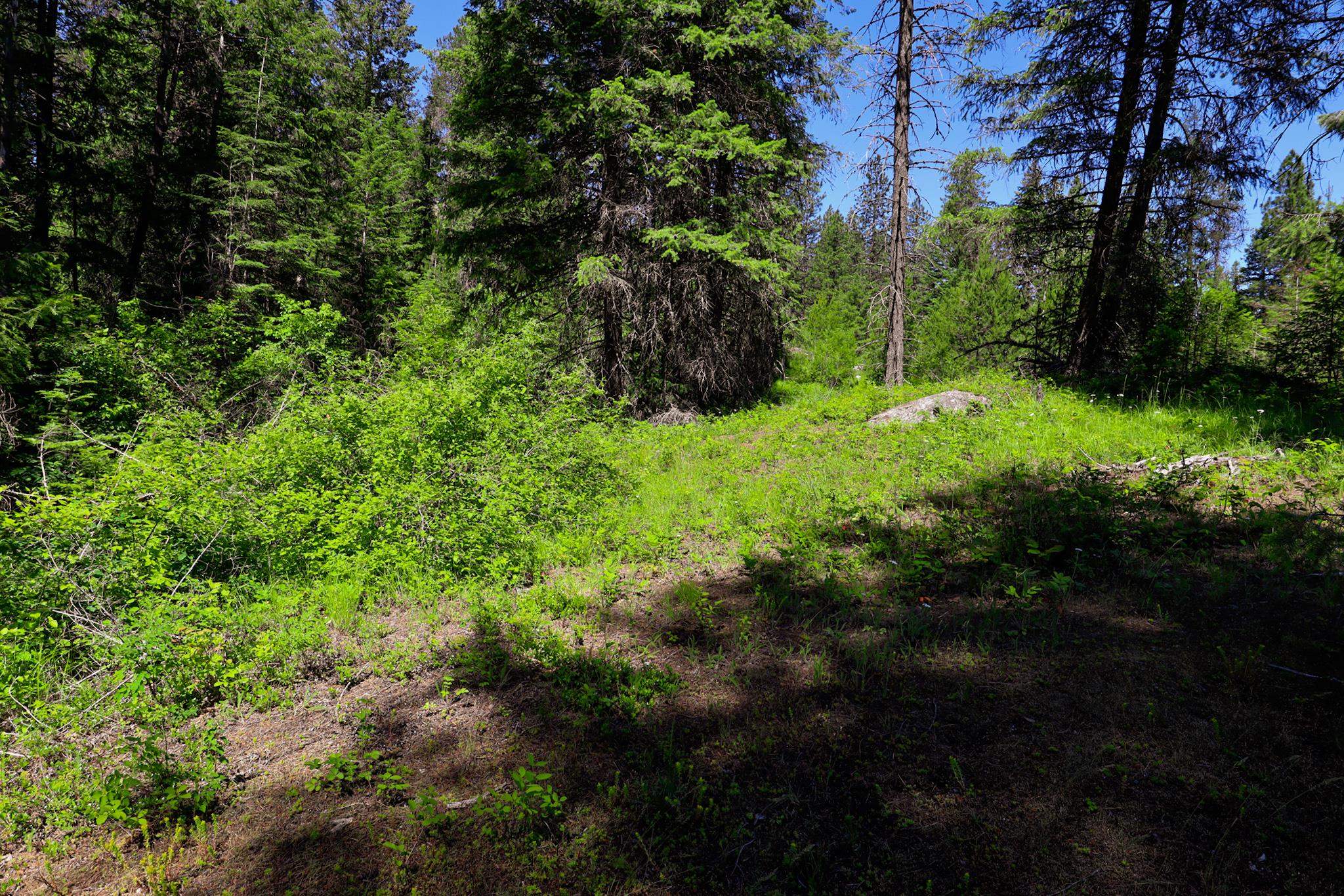 14 ElK Rd - Photo 13