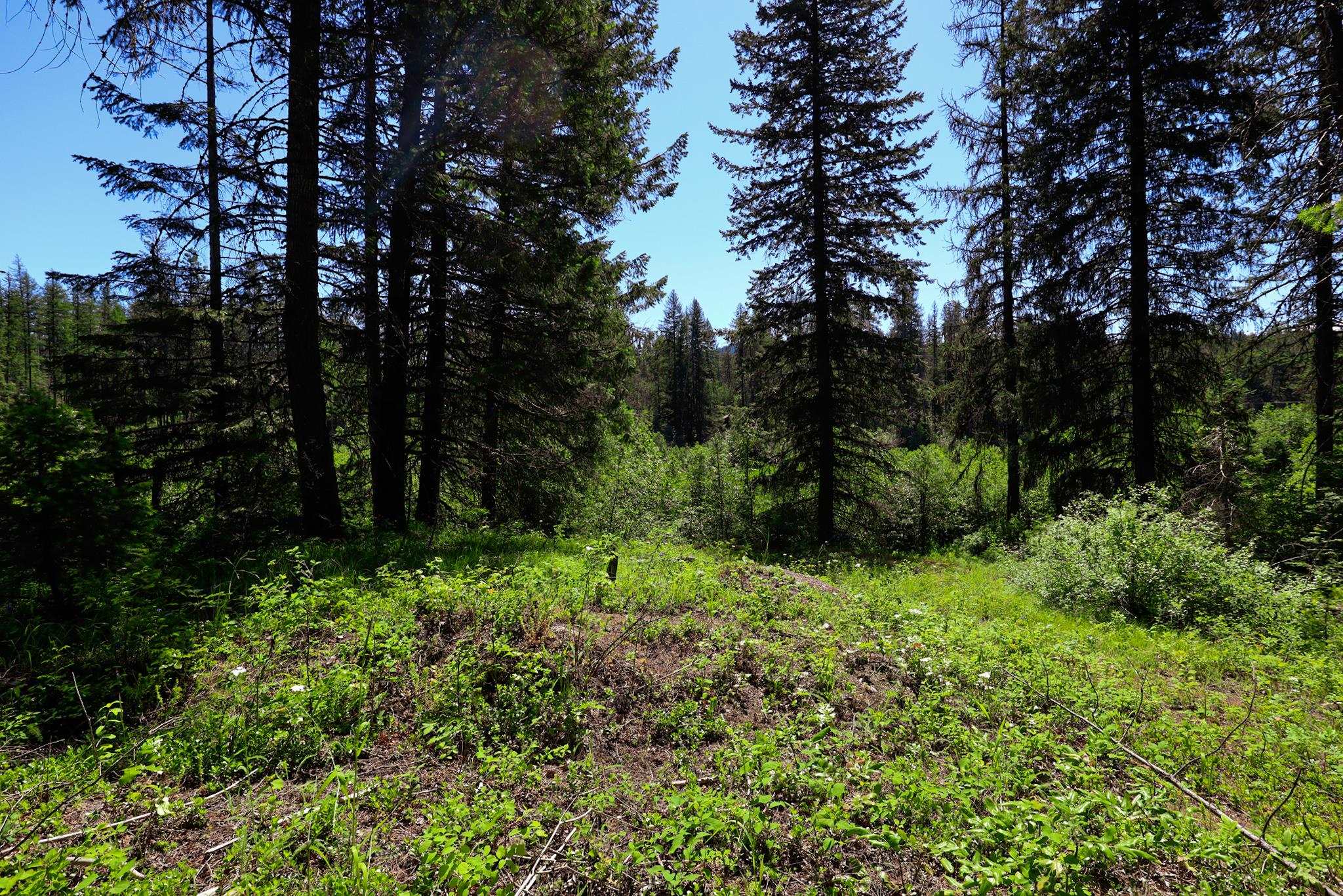 14 ElK Rd - Photo 3