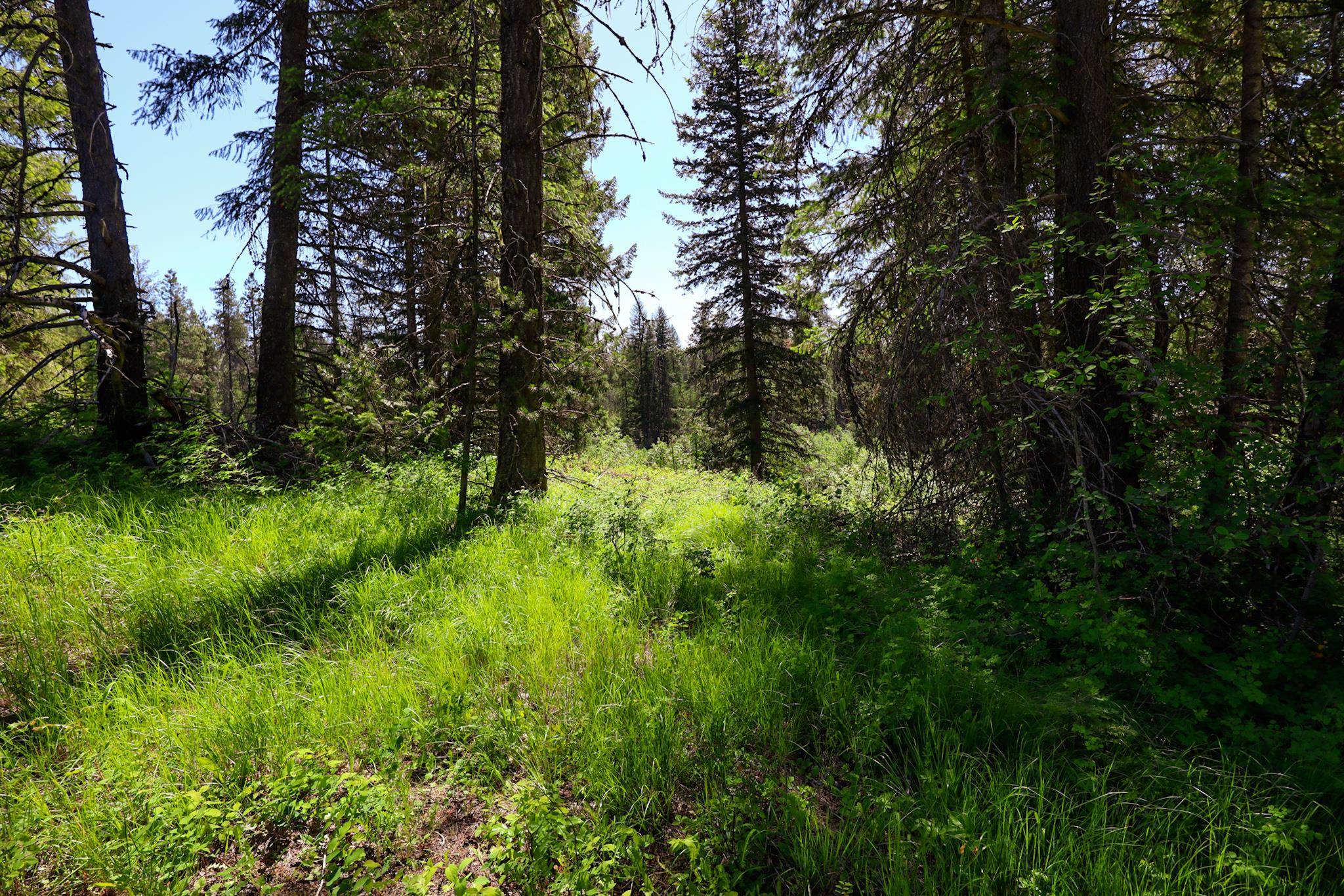 14 ElK Rd - Photo 4