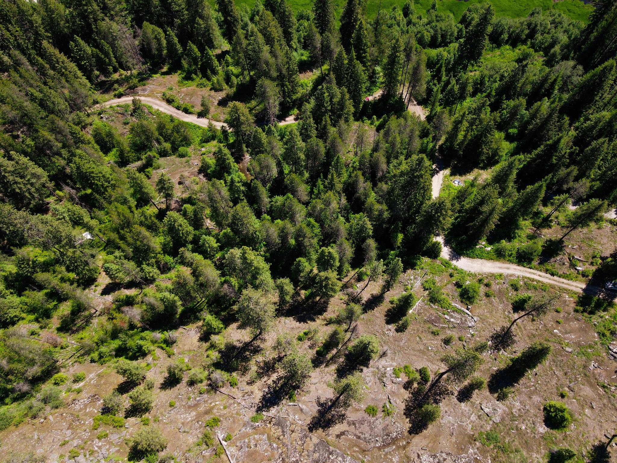 14 ElK Rd - Photo 6
