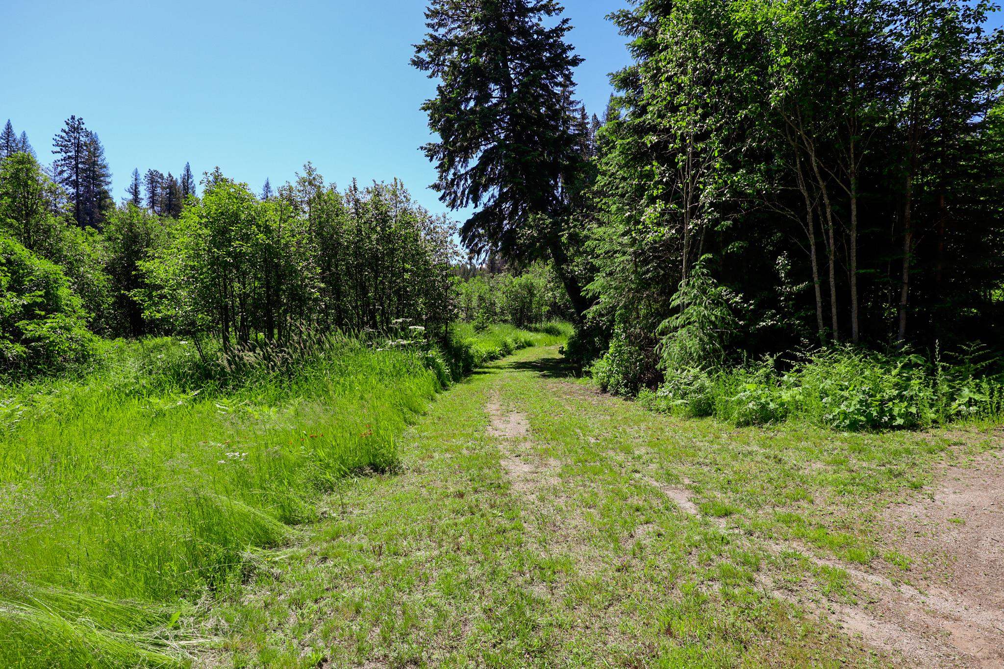 14 ElK Rd - Photo 8
