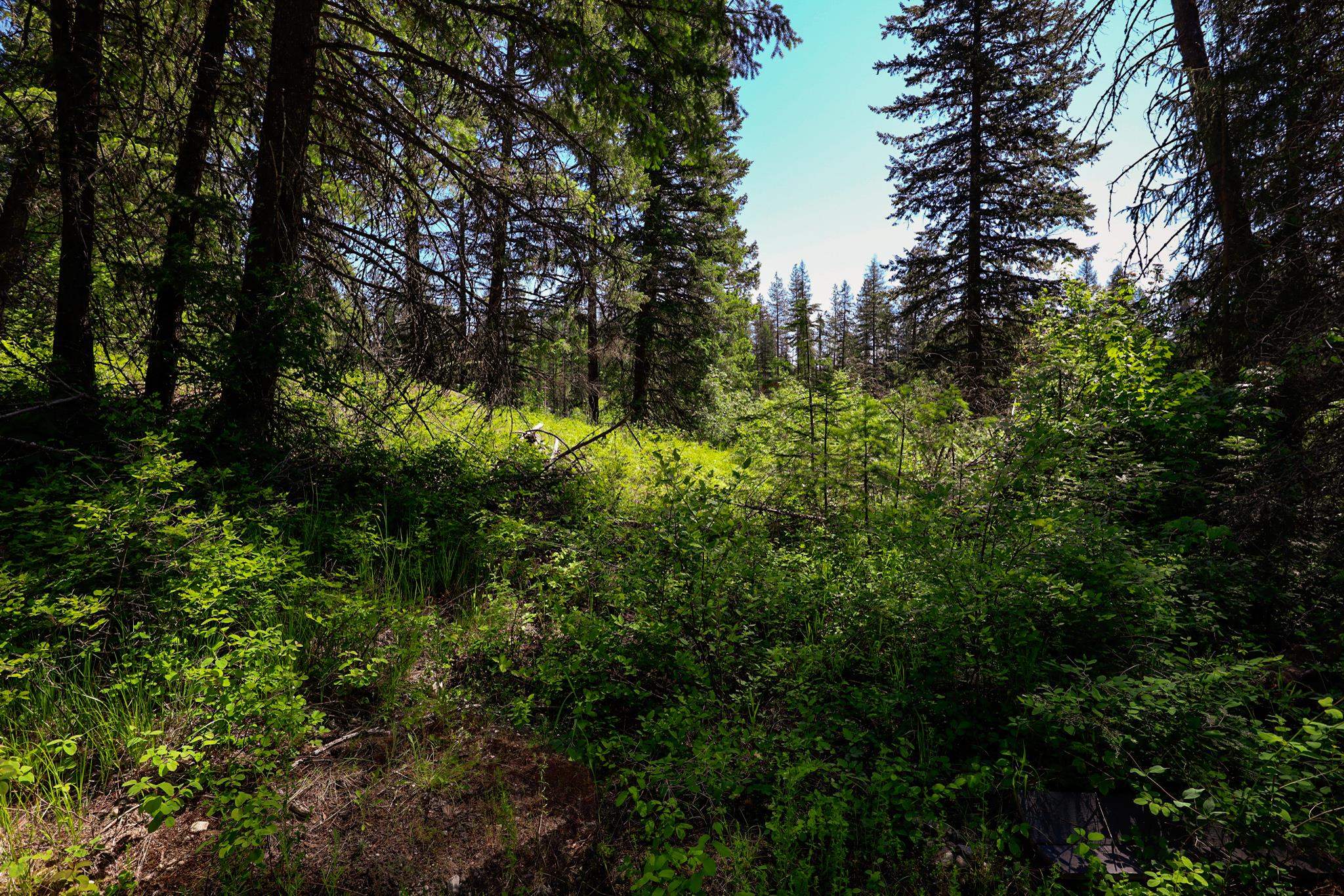 14 ElK Rd - Photo 10