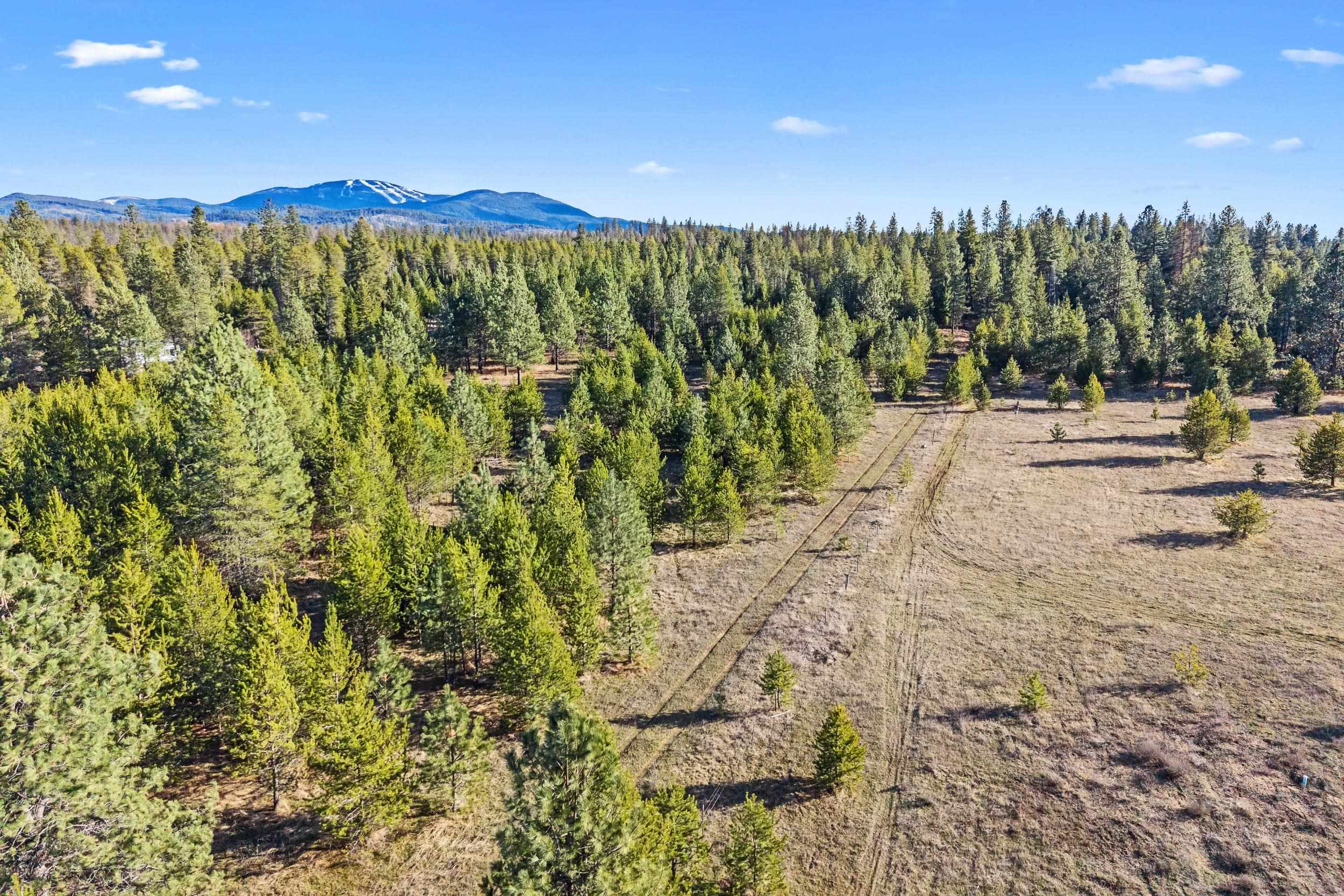 12818 E Bridges Rd - Photo 1