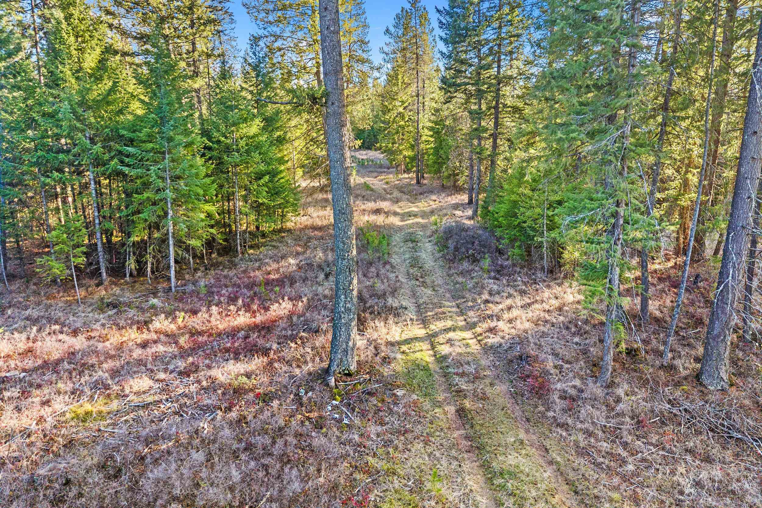 12818 E Bridges Rd - Photo 2