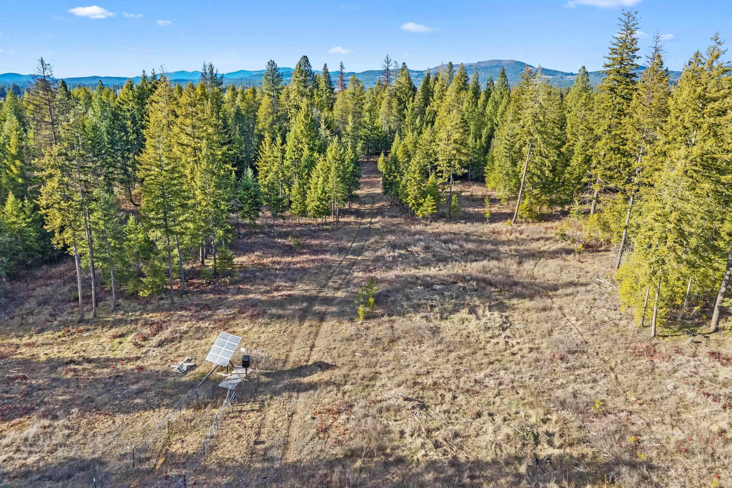 12818 E Bridges Rd - Photo 13