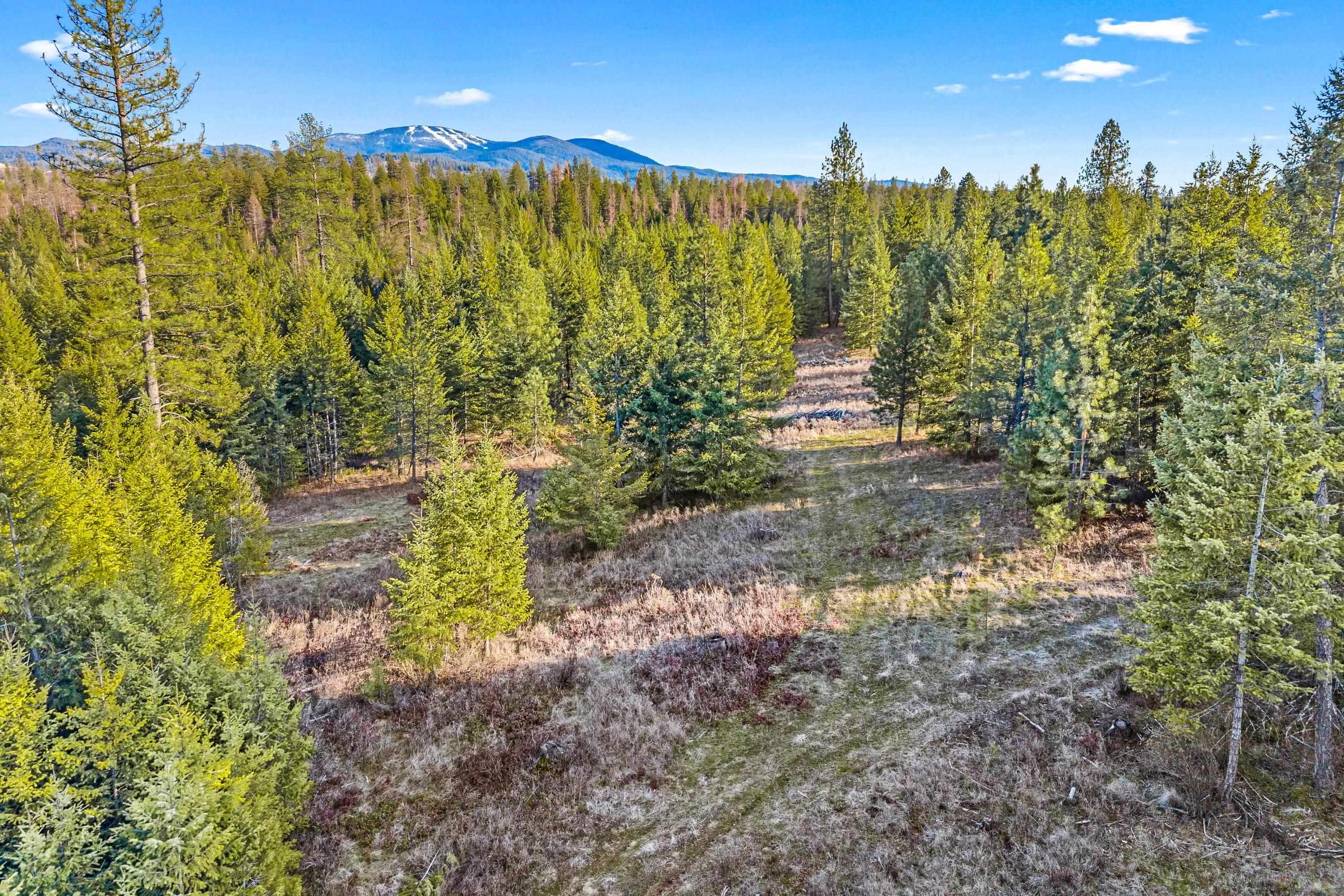 12818 E Bridges Rd - Photo 15