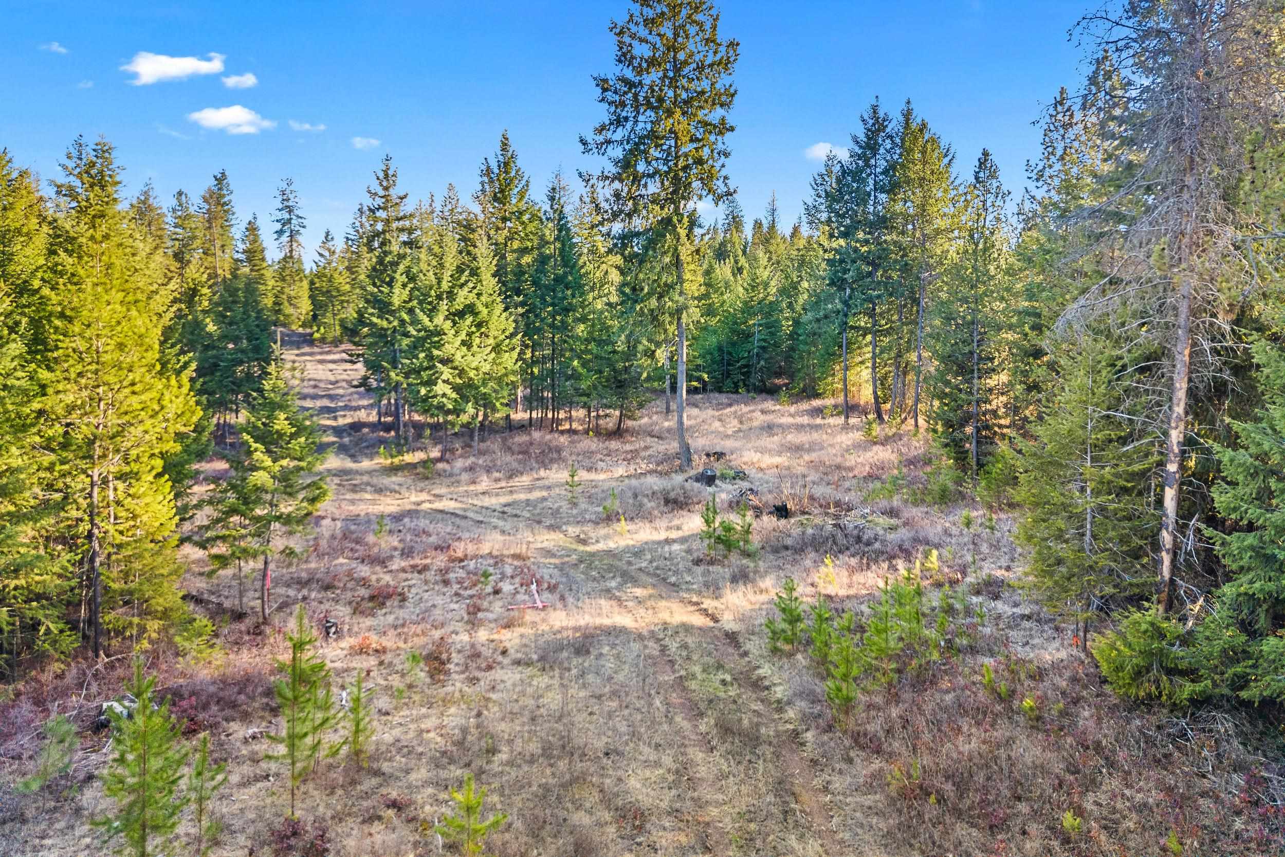 12818 E Bridges Rd - Photo 17
