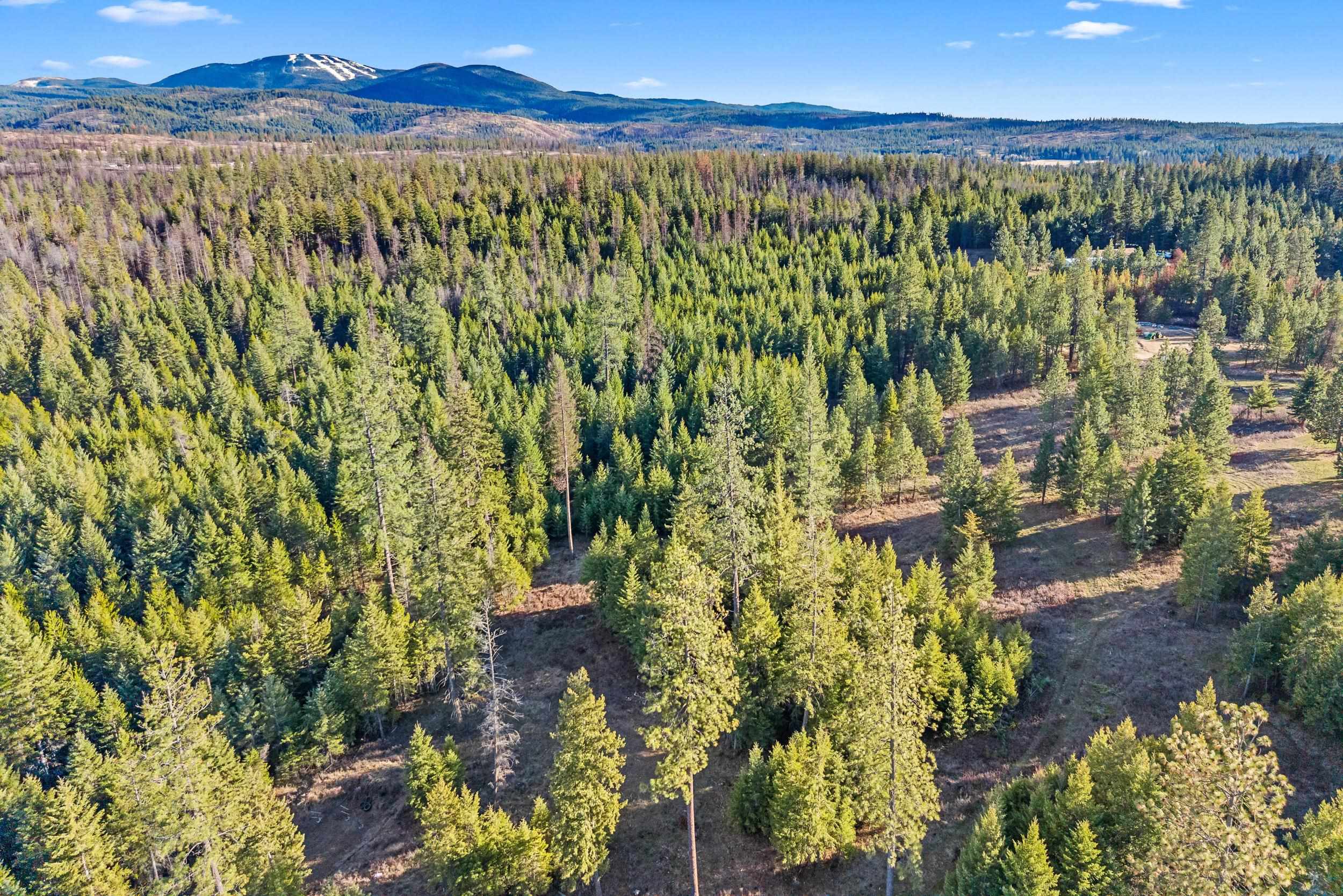 12818 E Bridges Rd - Photo 18
