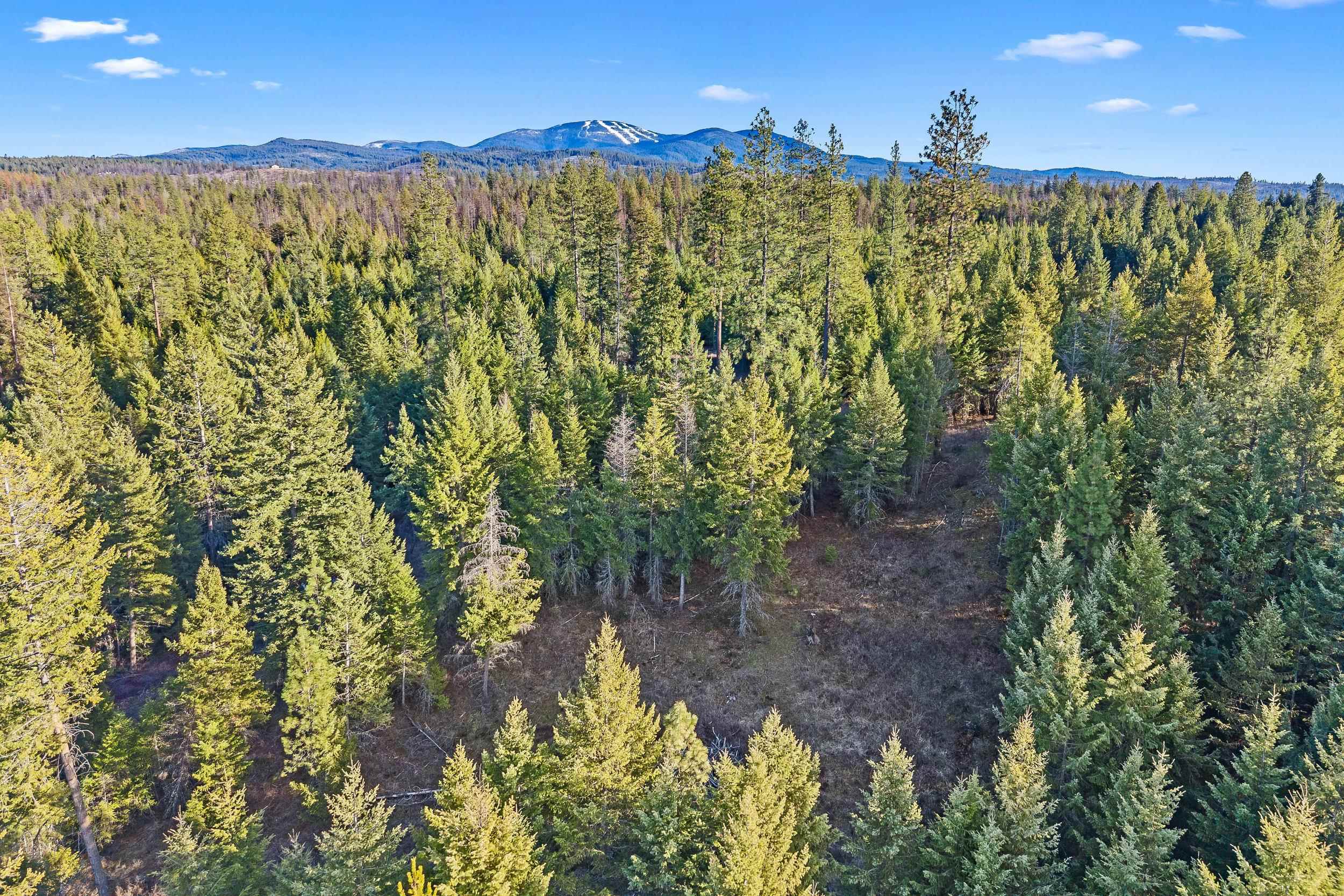 12818 E Bridges Rd - Photo 20