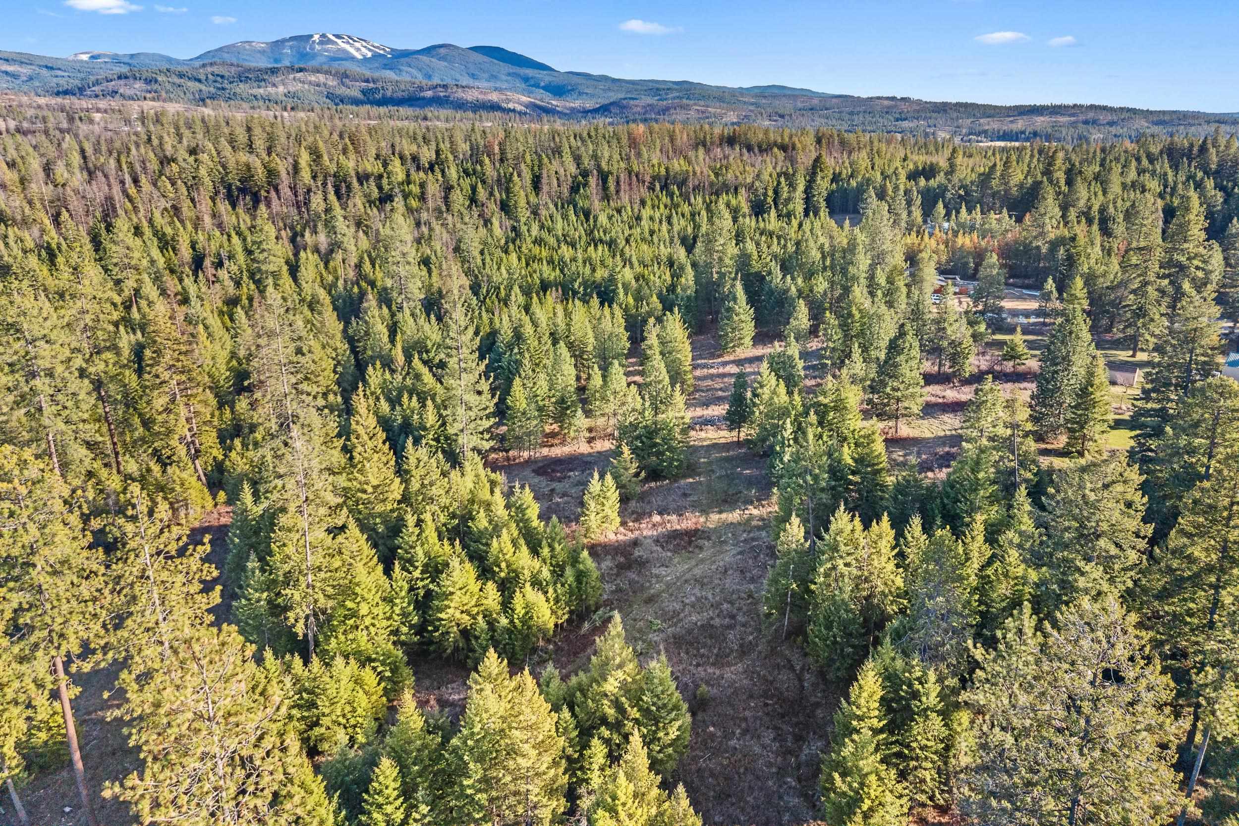 12818 E Bridges Rd - Photo 21
