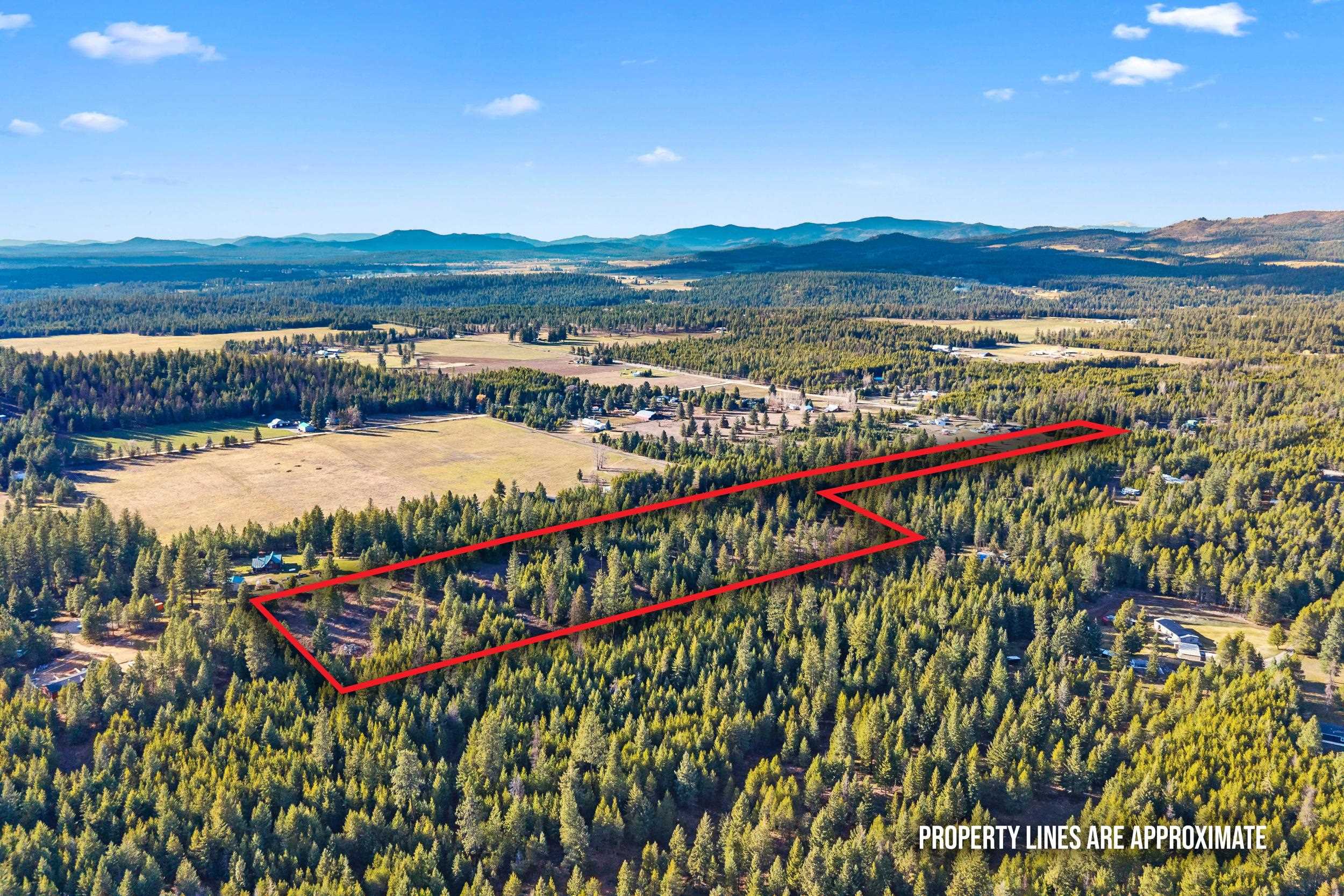 12818 E Bridges Rd - Photo 4