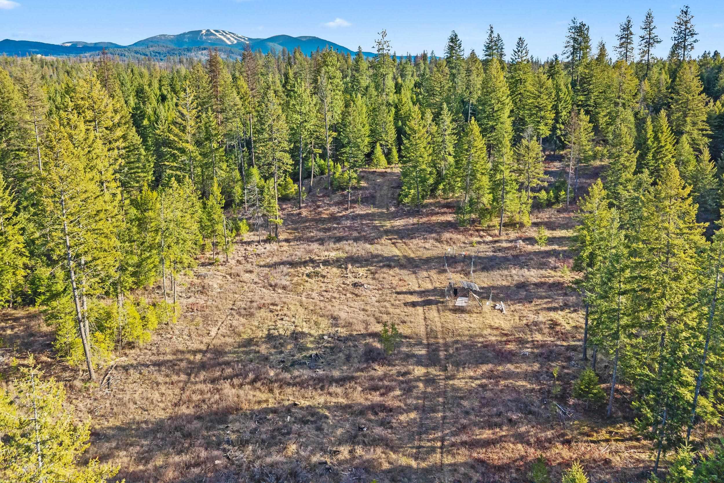 12818 E Bridges Rd - Photo 6