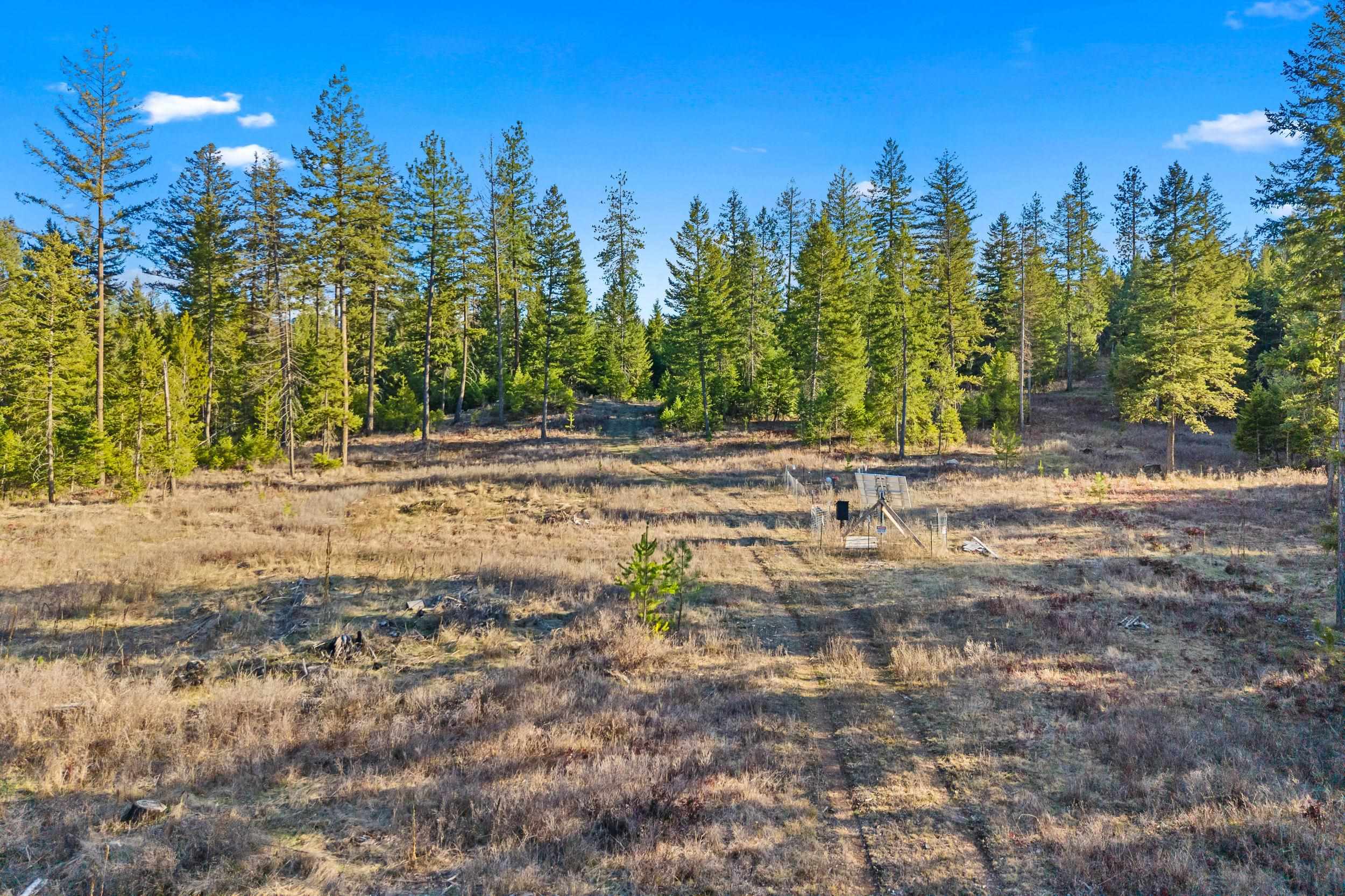 12818 E Bridges Rd - Photo 7