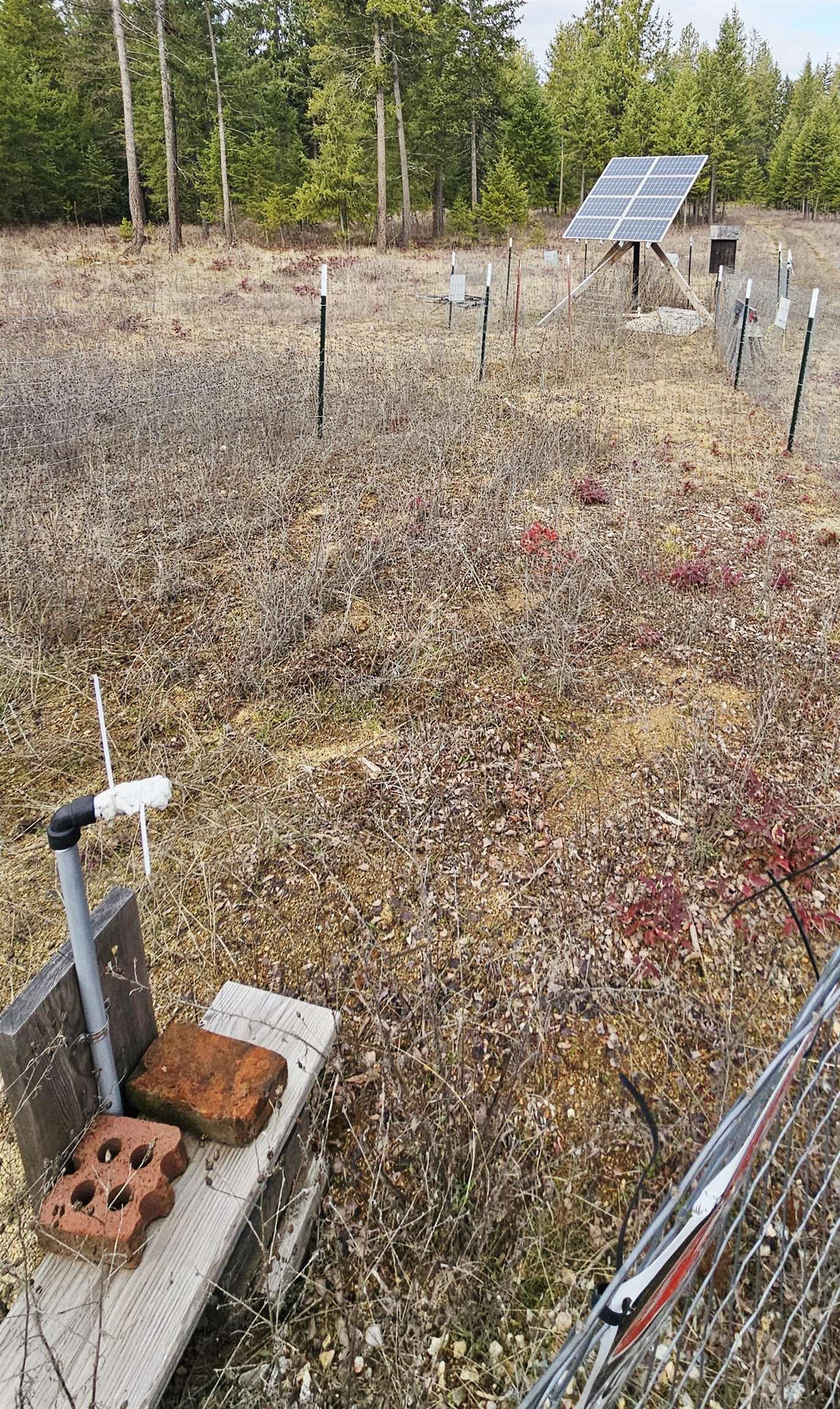 12818 E Bridges Rd - Photo 10