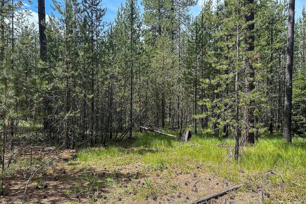 3792 M E Jump Off Rd - Photo 1