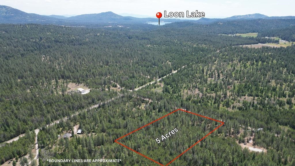 3792 M E Jump Off Rd - Photo 2