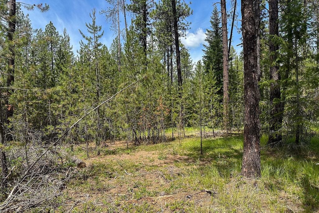 3792 M E Jump Off Rd - Photo 3