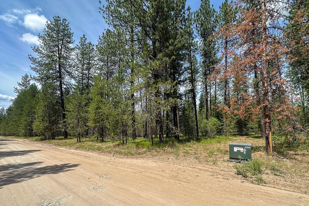 3792 M E Jump Off Rd - Photo 4