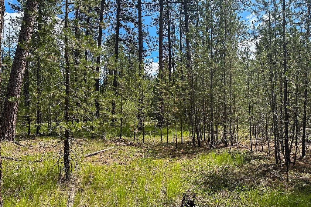 3792 M E Jump Off Rd - Photo 5