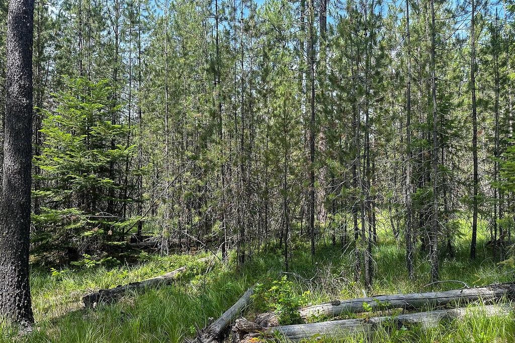 3792 M E Jump Off Rd - Photo 6