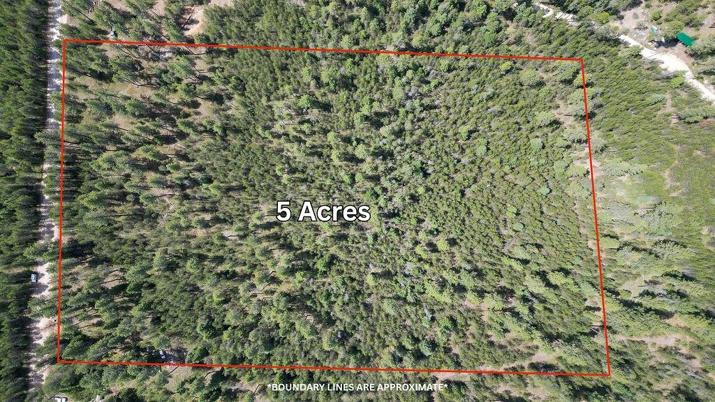 3792 M E Jump Off Rd - Photo 8