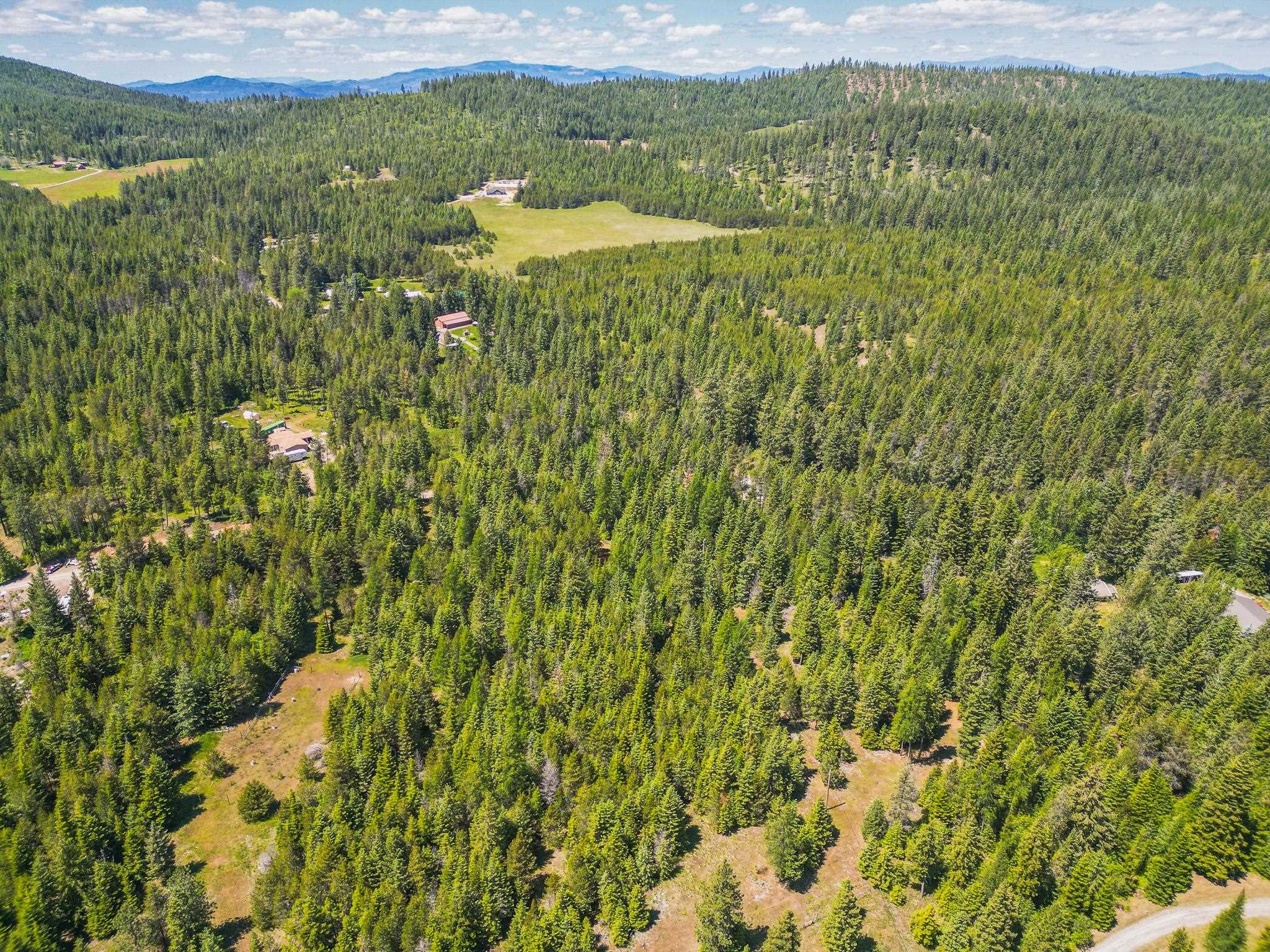 351 Stohr Rd - Photo 12
