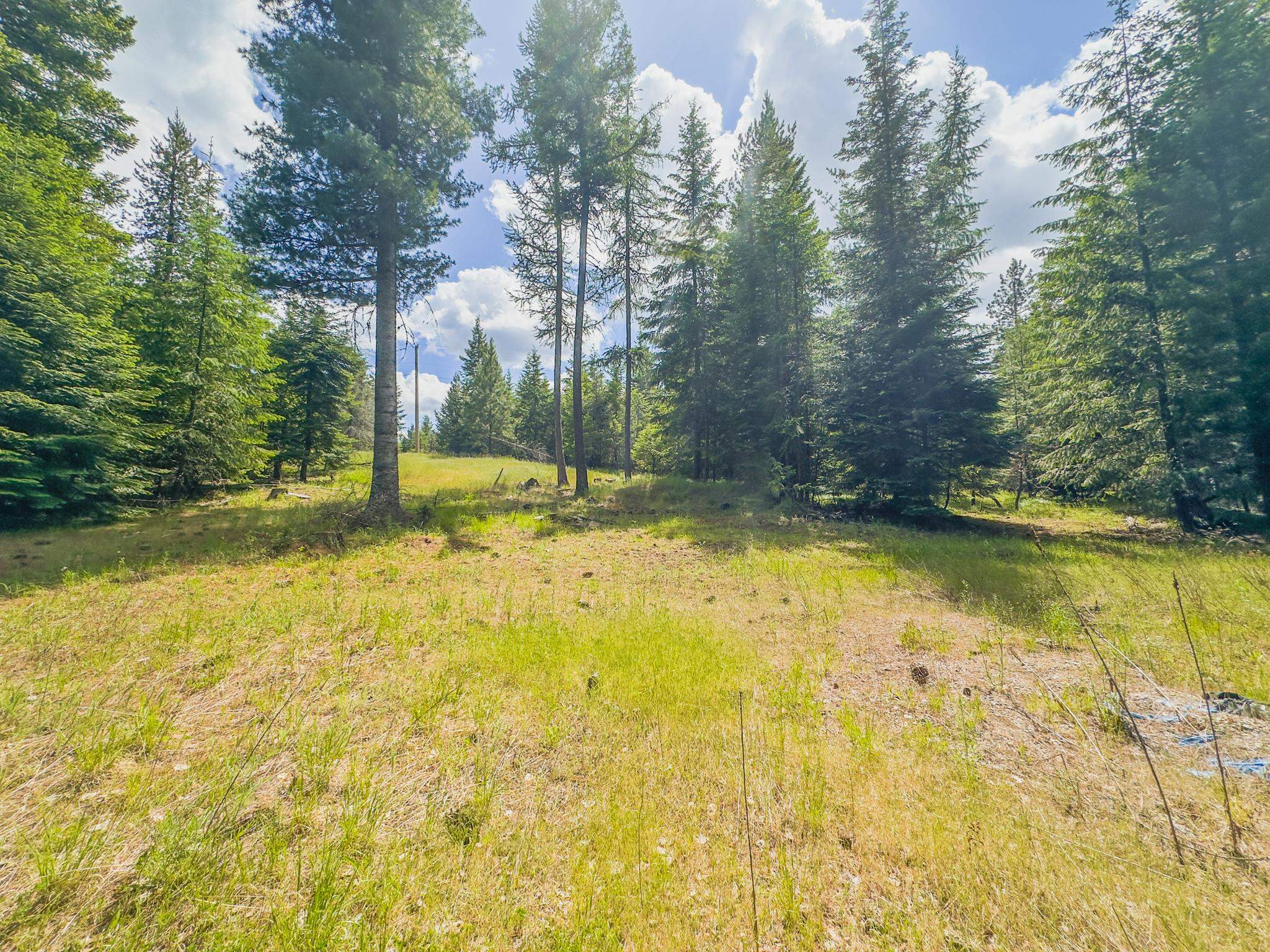 351 Stohr Rd - Photo 27