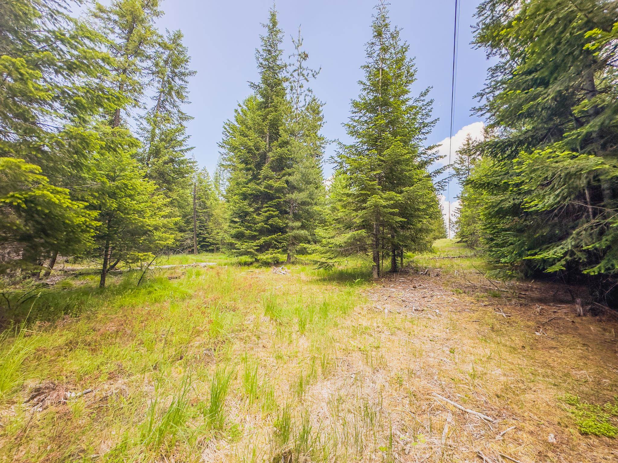 351 Stohr Rd - Photo 29