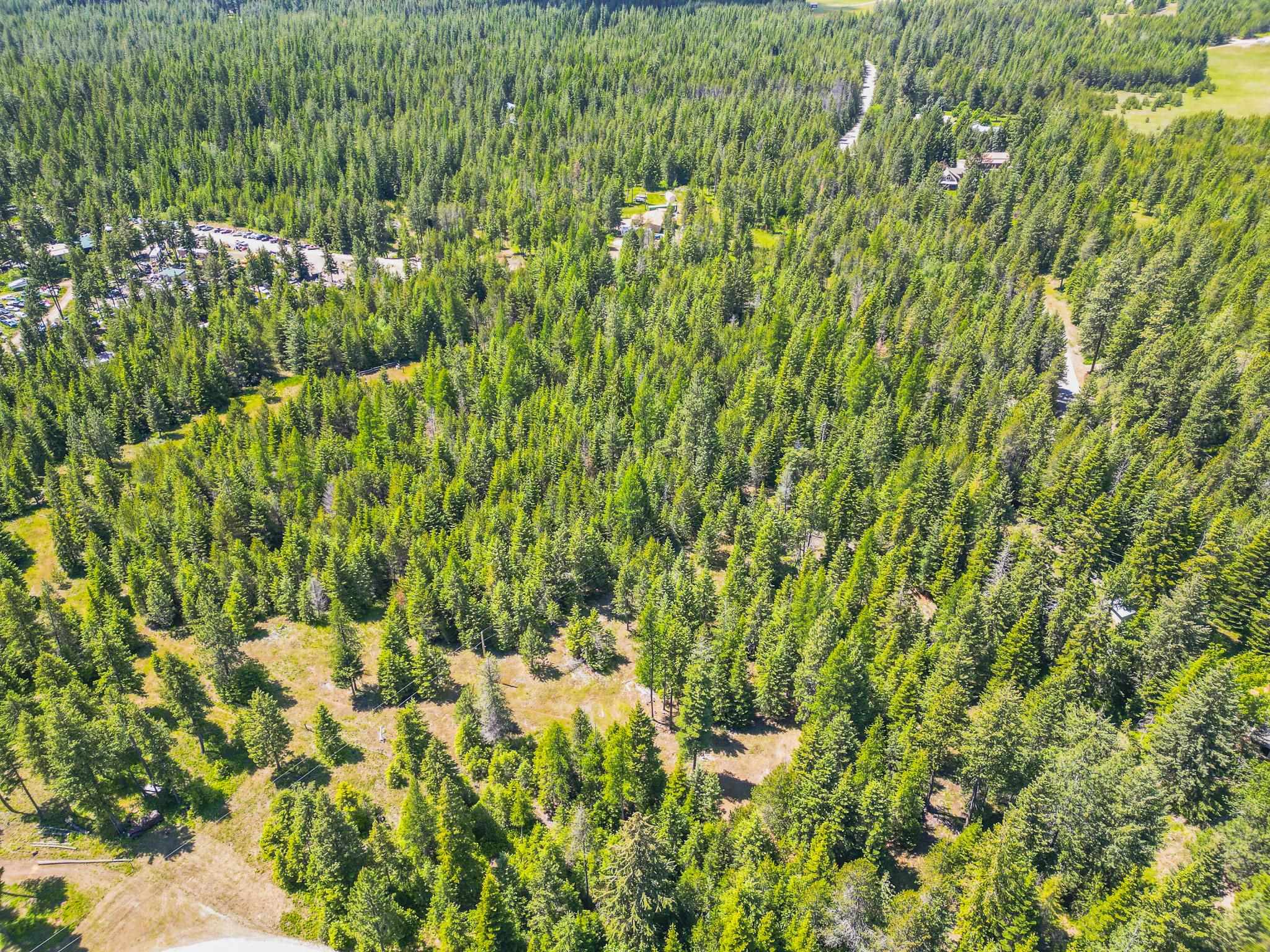 351 Stohr Rd - Photo 8