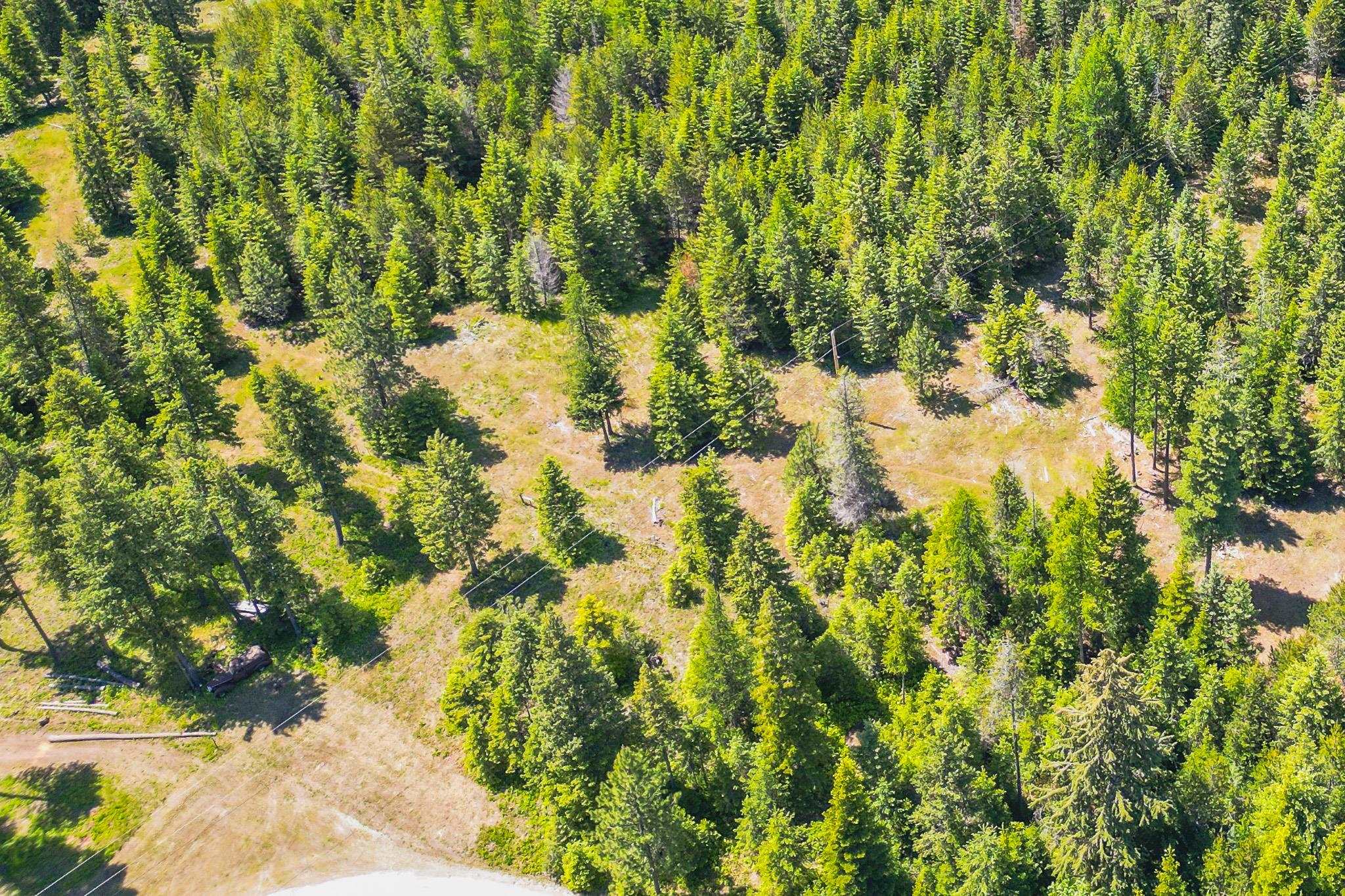 351 Stohr Rd - Photo 9