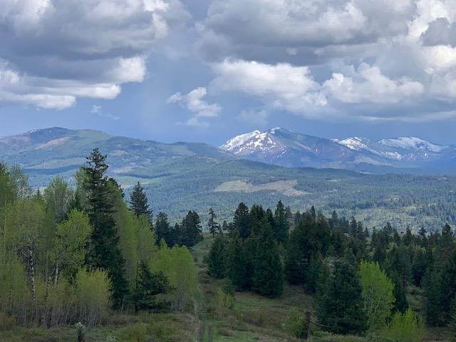354 Vulcan Mountain Rd - Photo 4