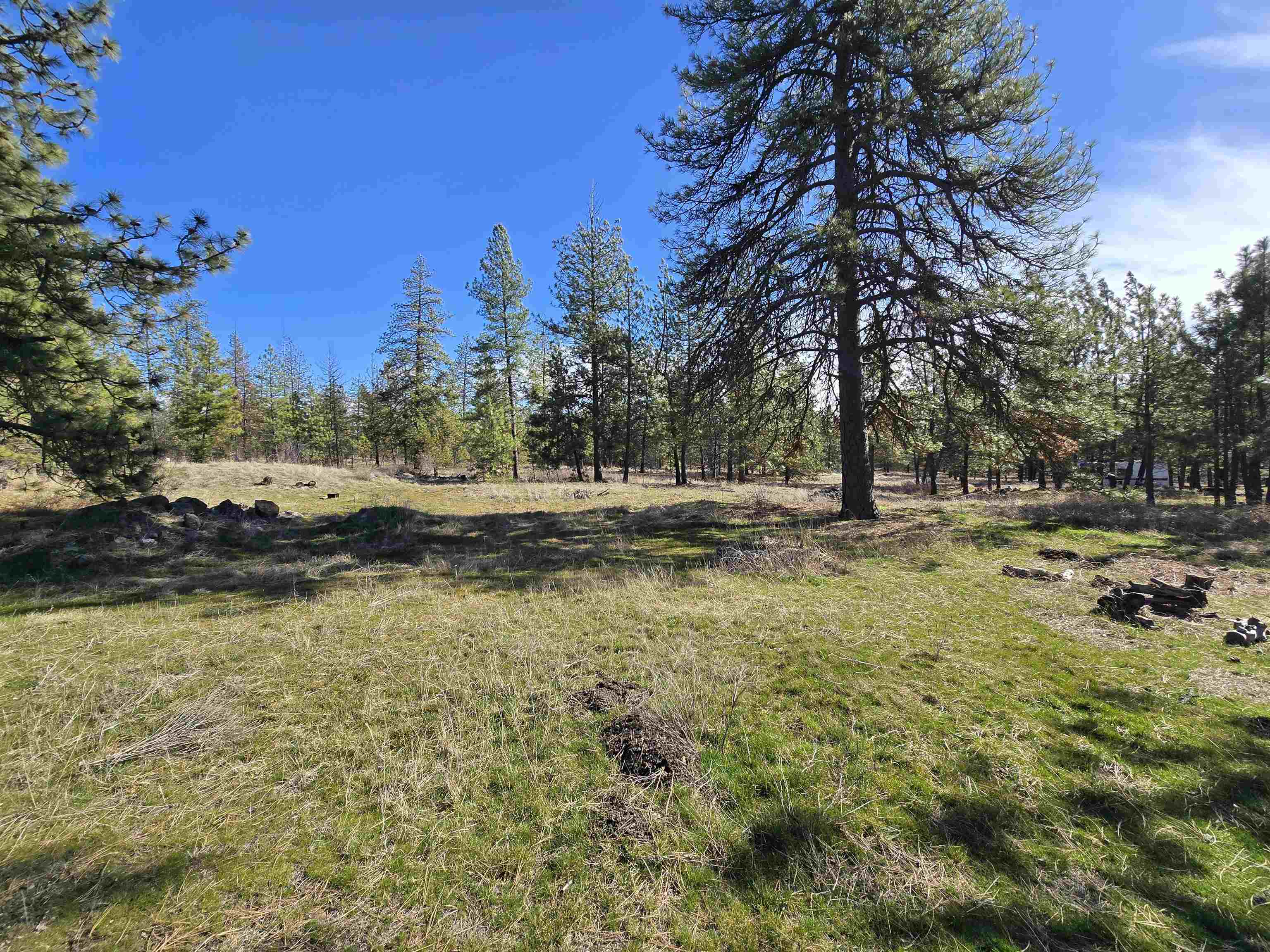 10602 N Dover Rd - Photo 14
