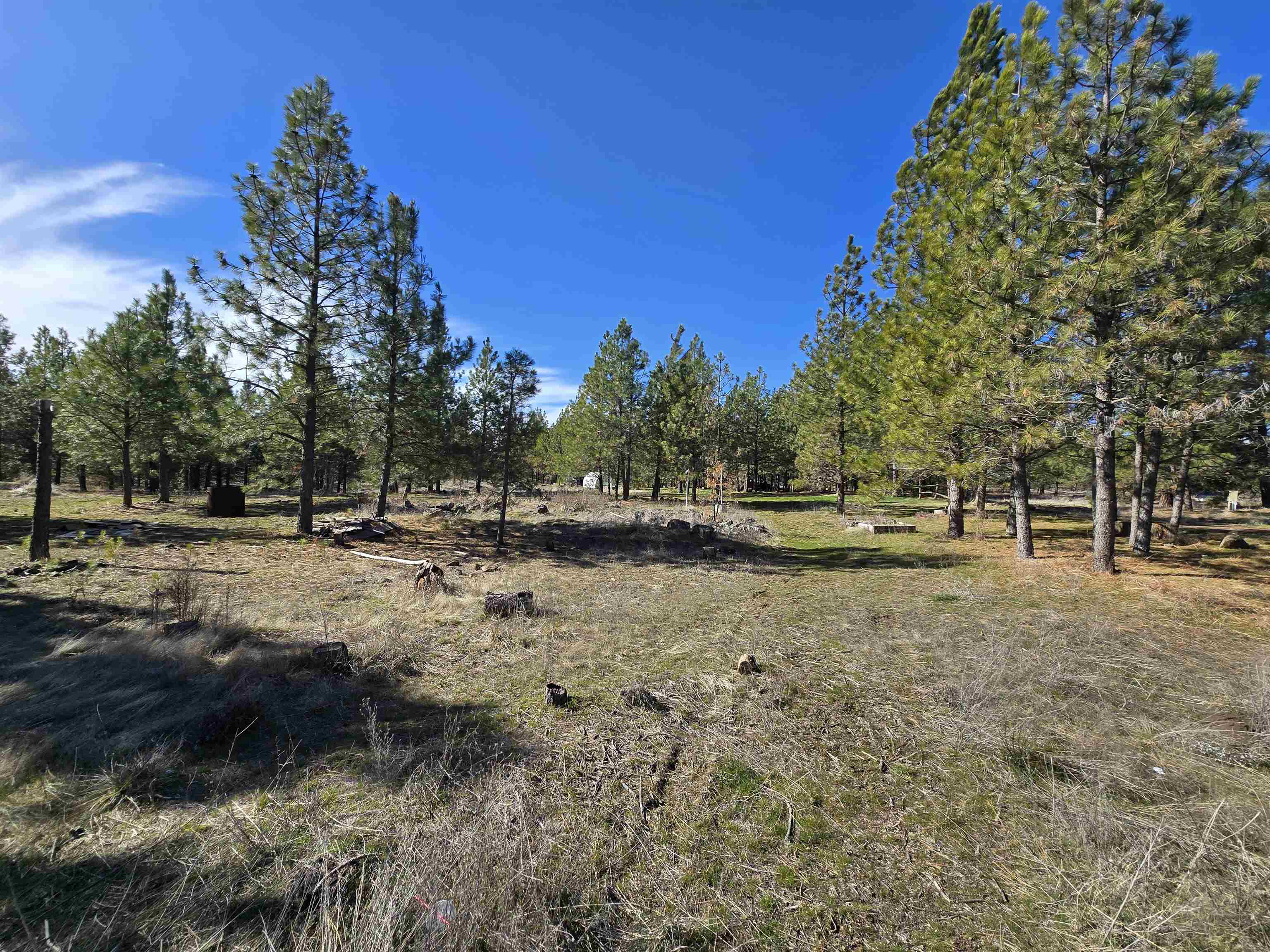 10602 N Dover Rd - Photo 18