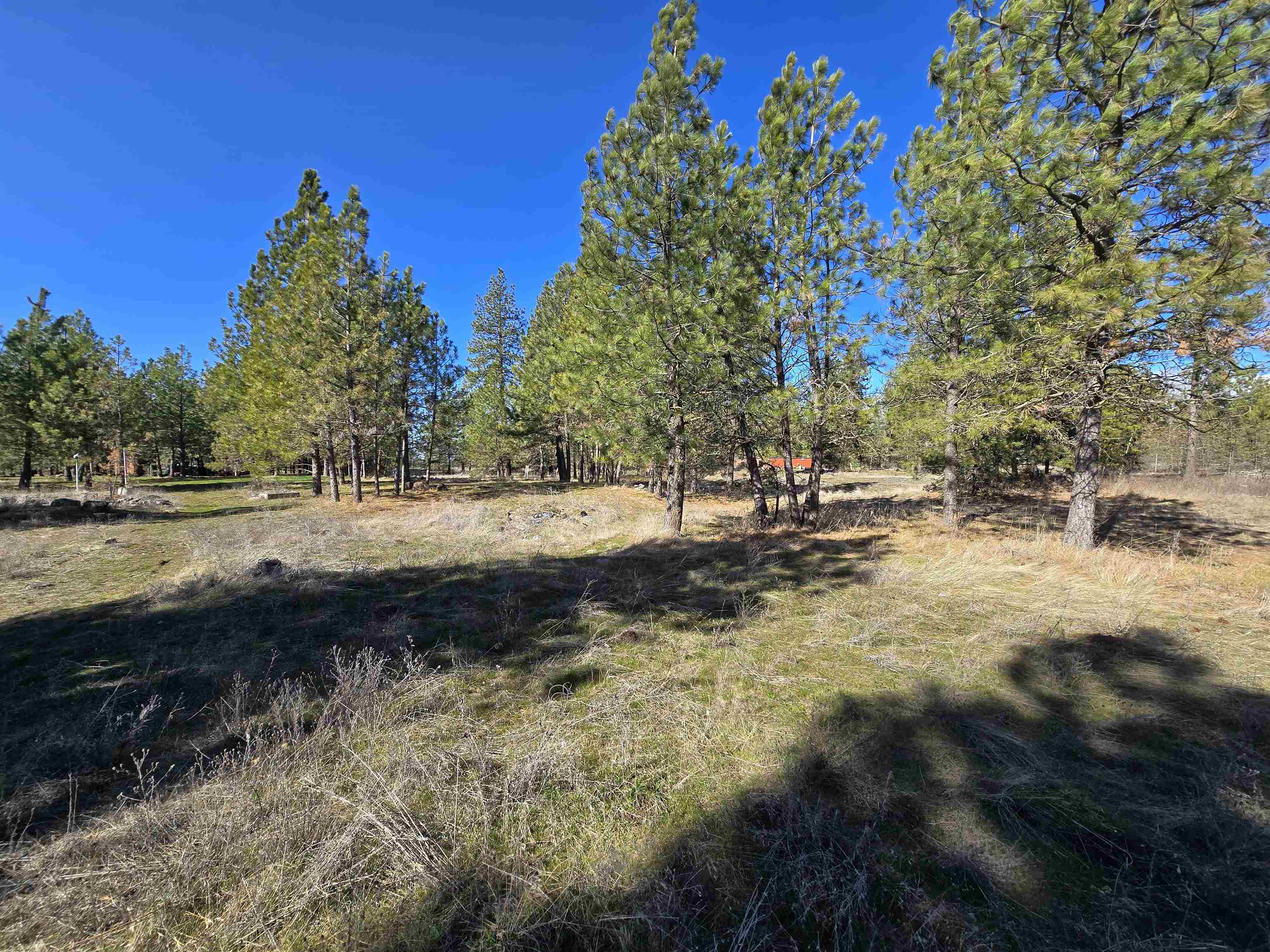 10602 N Dover Rd - Photo 20