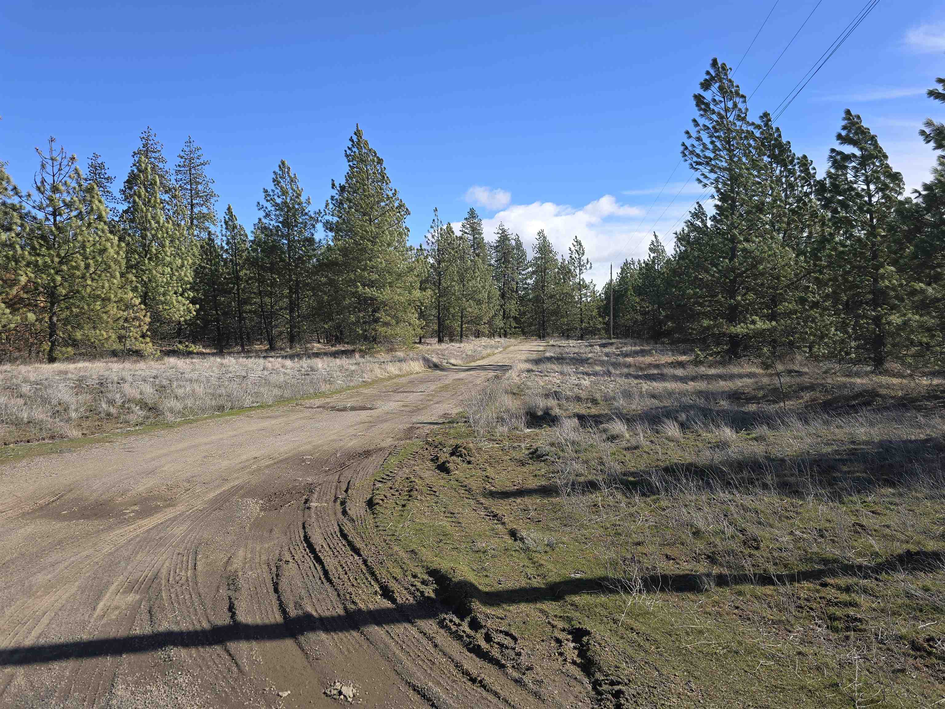 10602 N Dover Rd - Photo 4