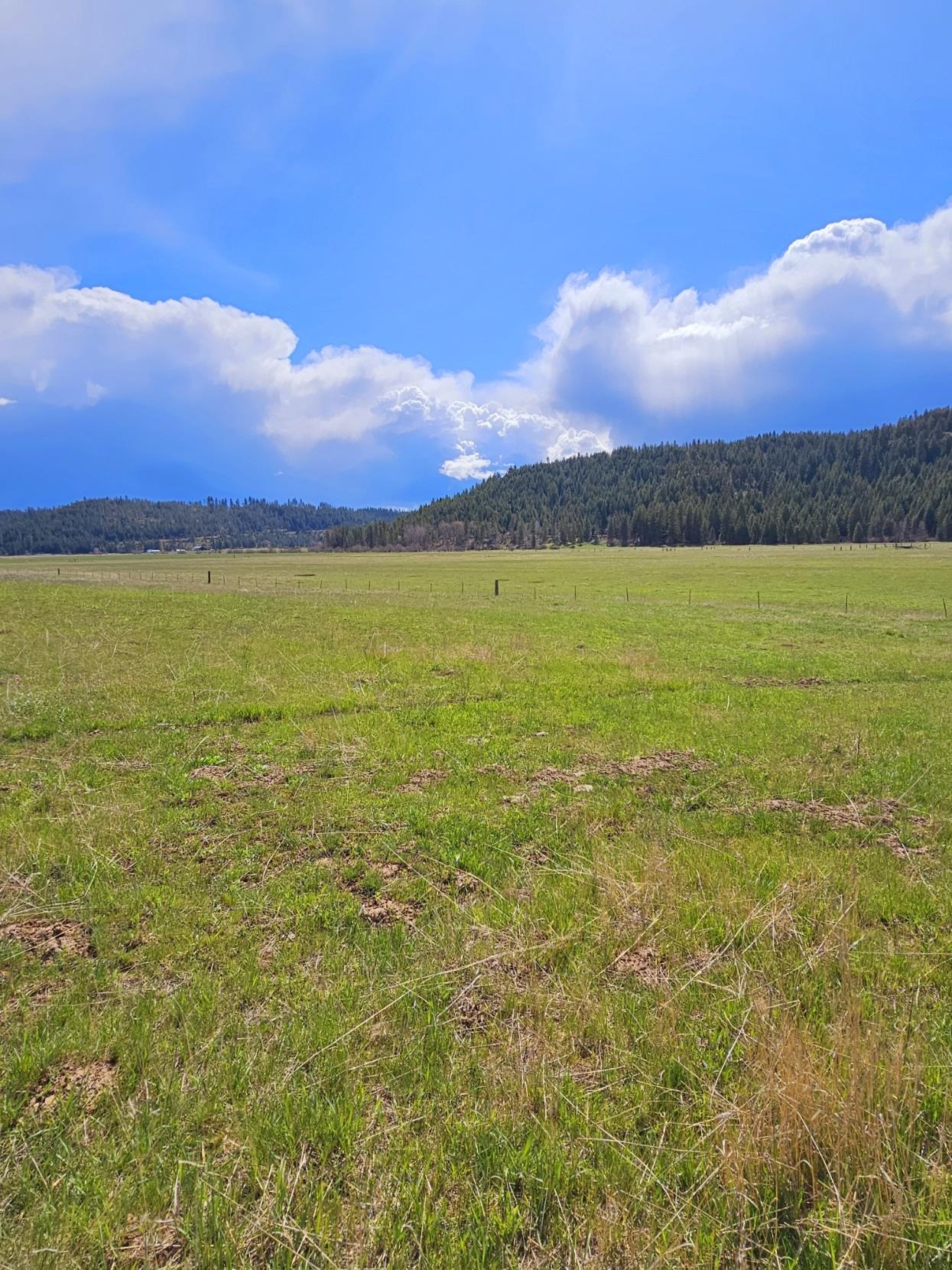 4627 Springdale Hunters Rd - Photo 12
