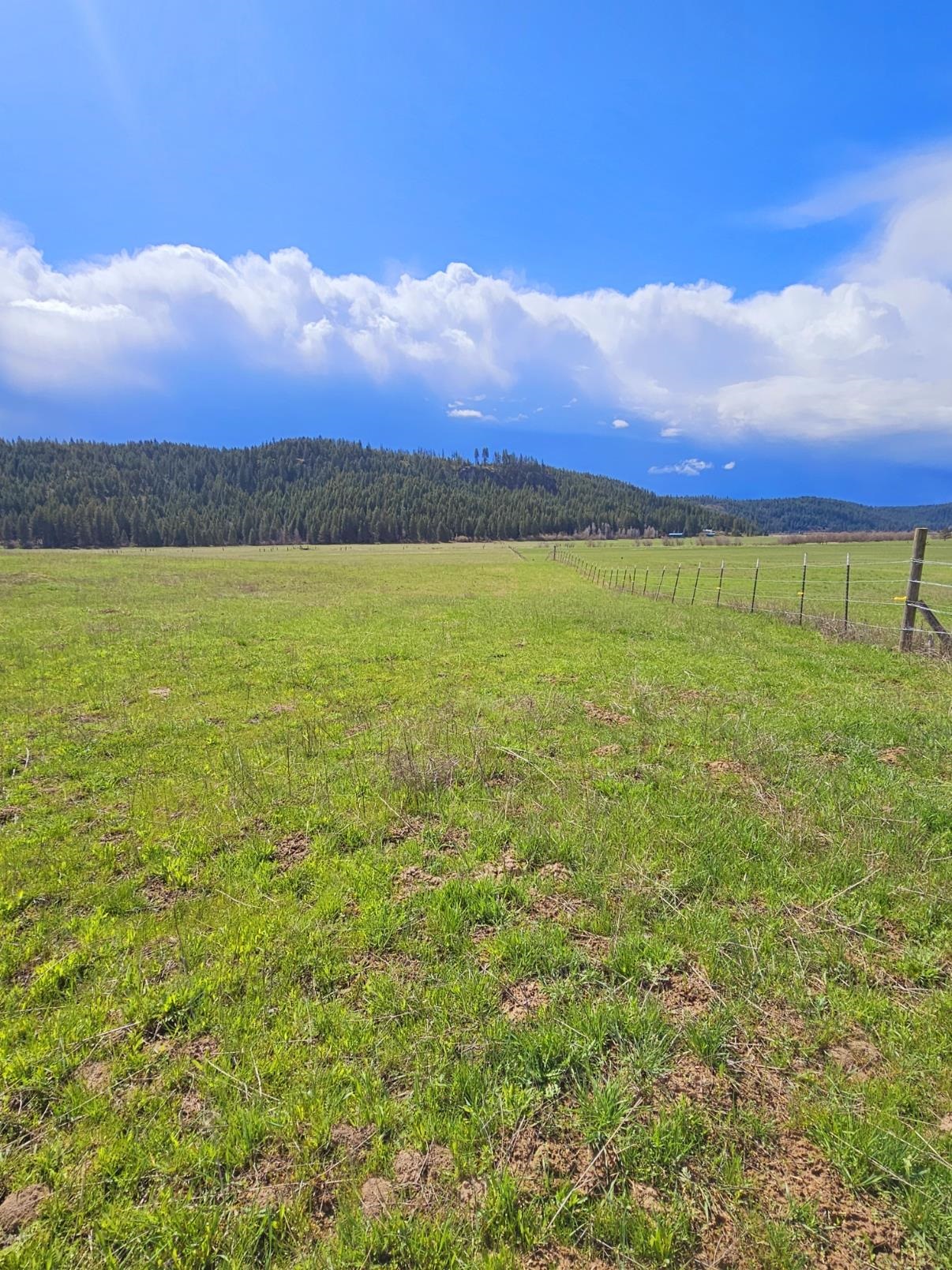 4627 Springdale Hunters Rd - Photo 10