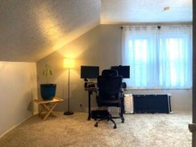 435 S Maple St - Photo 18
